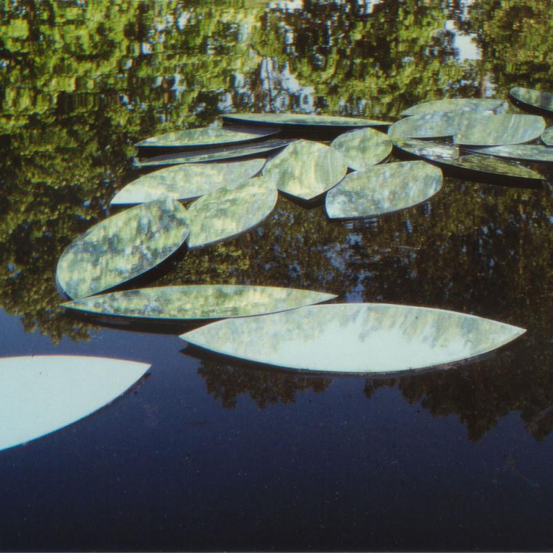Anne Baisch, Spiegelblätter auf Teich, 2001